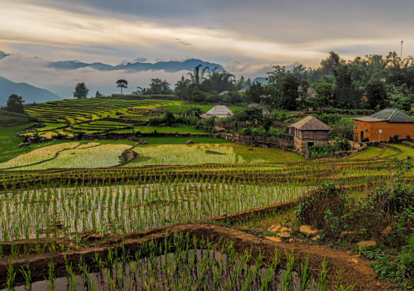Vietnam Tour