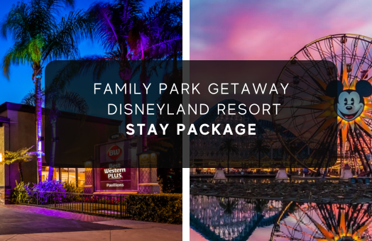 Family Park Getaway Disneyland Resort