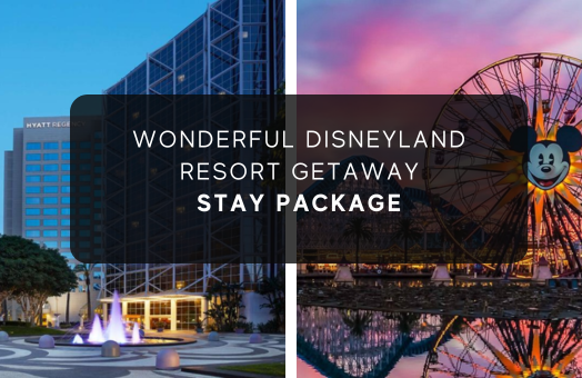 Wonderful Disneyland Resort